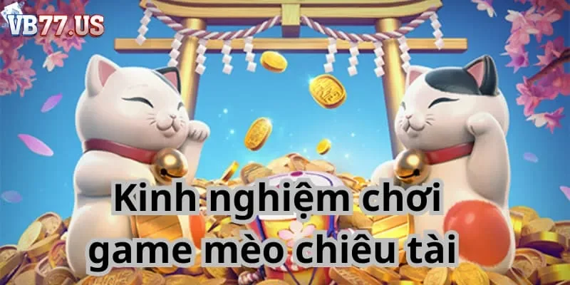 mèo chiêu tài VB77 Kinh nghiệm chơi game mèo chiêu tài